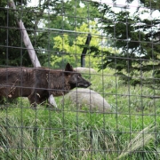 画像(180x180)・拡大画像(397x397)