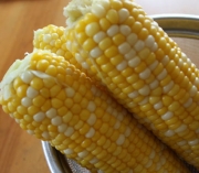 画像(180x157)・拡大画像(425x372)