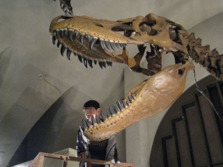 �摜(320x240)�E�g��摜(640x480)