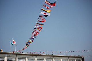 �摜(320x213)�E�g��摜(567x378)