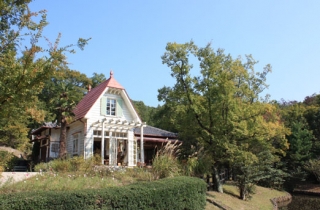 �摜(320x210)�E�g��摜(522x344)