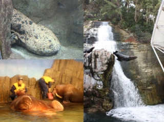 画像(320x238)・拡大画像(425x317)