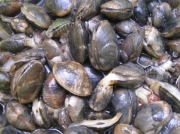 �摜(180x134)�E�g��摜(591x443)