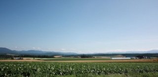 画像(320x157)・拡大画像(640x315)