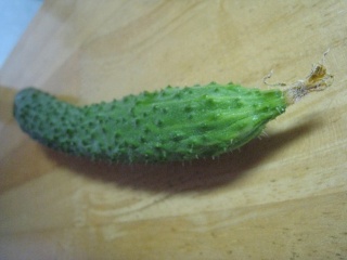 画像(320x240)・拡大画像(640x480)