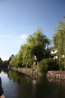 画像(213x320)・拡大画像(425x638)