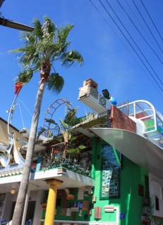 �摜(231x320)�E�g��摜(463x640)