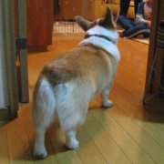 画像(180x180)・拡大画像(394x394)