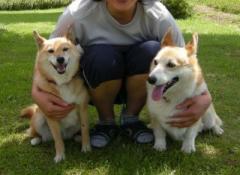 画像(240x175)・拡大画像(561x411)