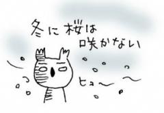 画像(240x165)・拡大画像(371x257)