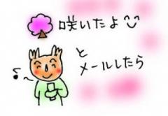 画像(240x166)・拡大画像(367x255)