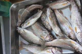 �摜(320x213)�E�g��摜(425x283)