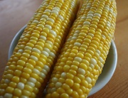 �摜(180x138)�E�g��摜(425x328)