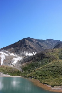 画像(213x320)・拡大画像(378x567)