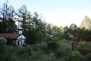 画像(320x213)・拡大画像(425x283)