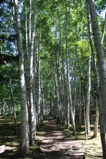 �摜(213x320)�E�g��摜(425x638)