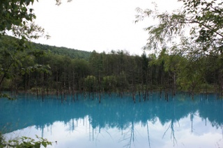 画像(320x213)・拡大画像(567x378)