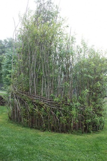 �摜(213x320)�E�g��摜(283x425)