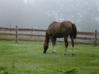 �摜(320x239)�E�g��摜(591x443)