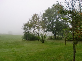 �摜(320x239)�E�g��摜(591x443)