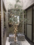 画像(138x180)・拡大画像(454x590)