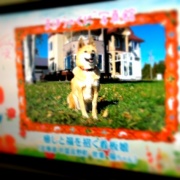 �摜(180x180)�E�g��摜(427x427)