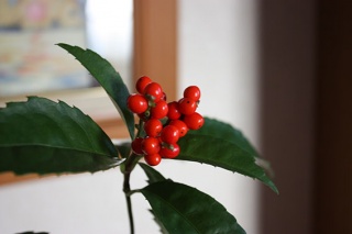 �摜(320x213)�E�g��摜(567x378)