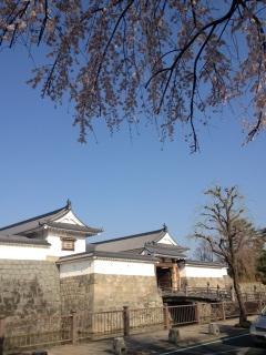 �摜(240x320)�E�g��摜(480x640)