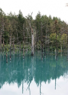 �摜(229x320)�E�g��摜(458x640)