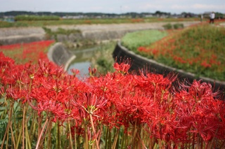 �摜(320x213)�E�g��摜(638x425)