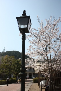 �摜(213x320)�E�g��摜(425x638)