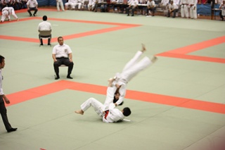 �摜(320x213)�E�g��摜(425x283)