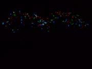 �摜(180x135)�E�g��摜(640x480)