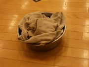 �摜(180x135)�E�g��摜(640x480)