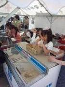 �摜(135x180)�E�g��摜(480x640)